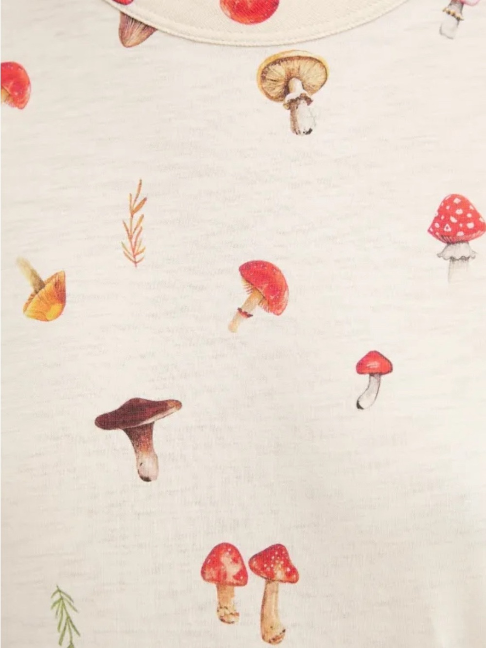 rag & bone Cream Tee with Red and Brown Mushroom Print - Picture 5 of 6